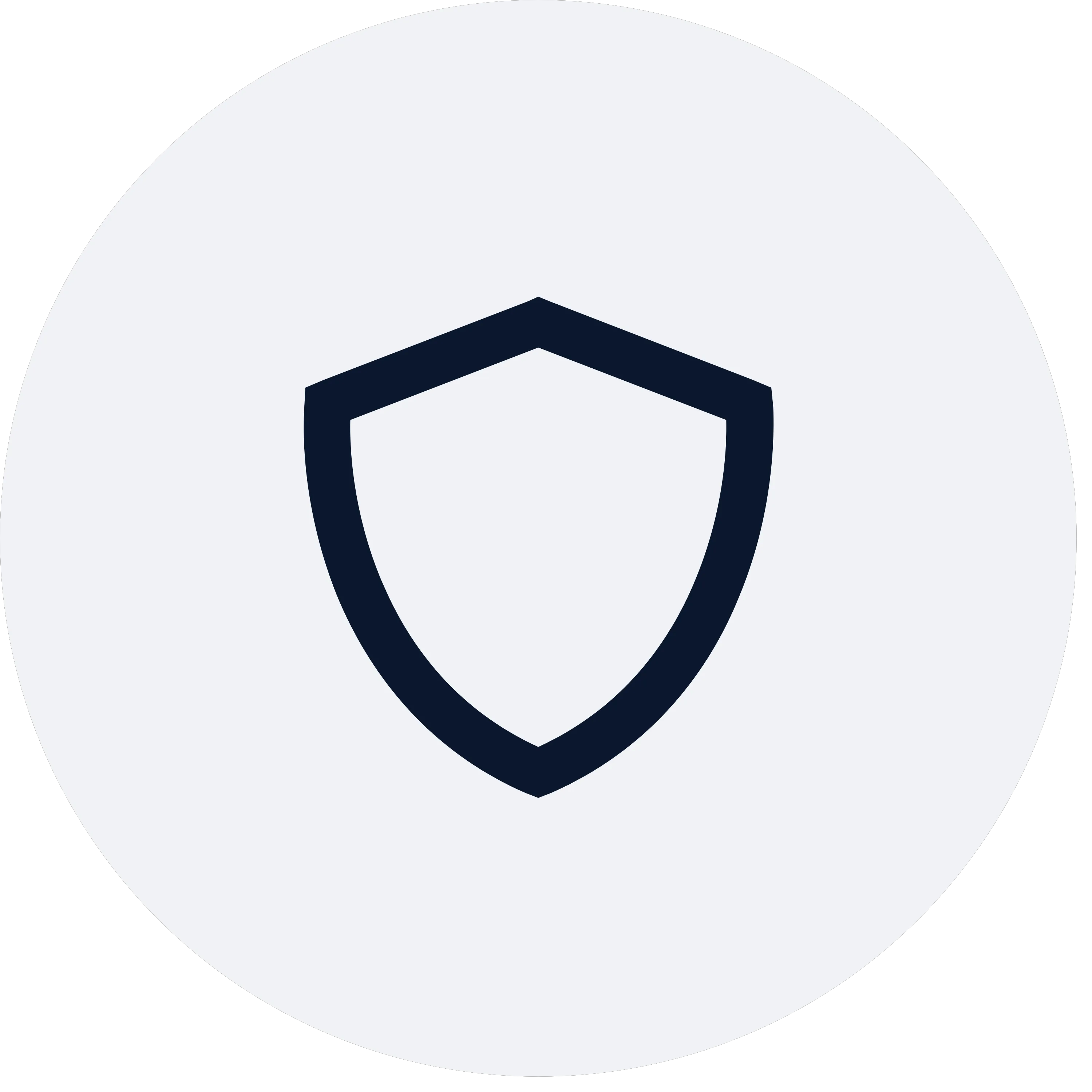 Safer Ceilings icon