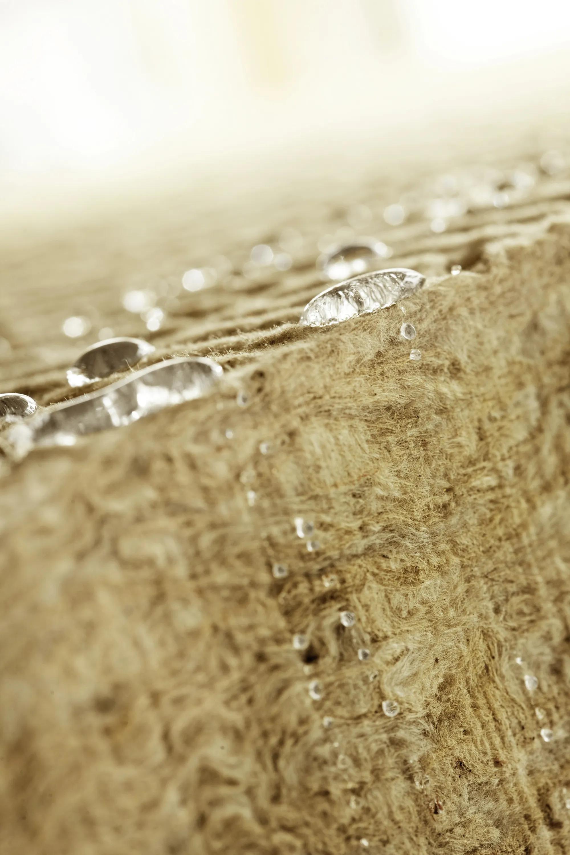 Our Commitment to Sustainable Acoustic Solutions | Rockfon