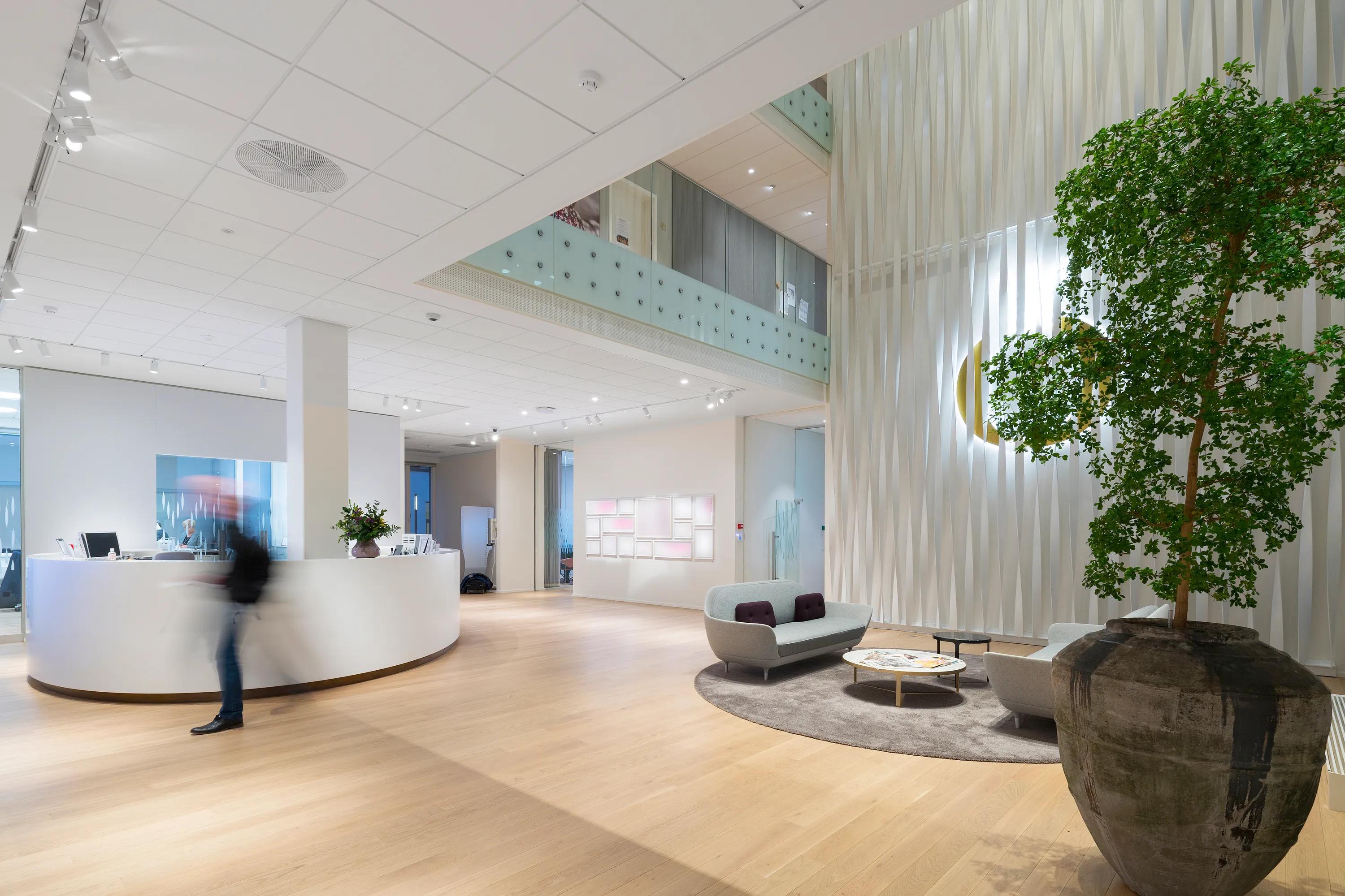 Modern office reception lobby with seating area, indoor tree, and a white acoustic tile ceiling with integrated lighting above the space.