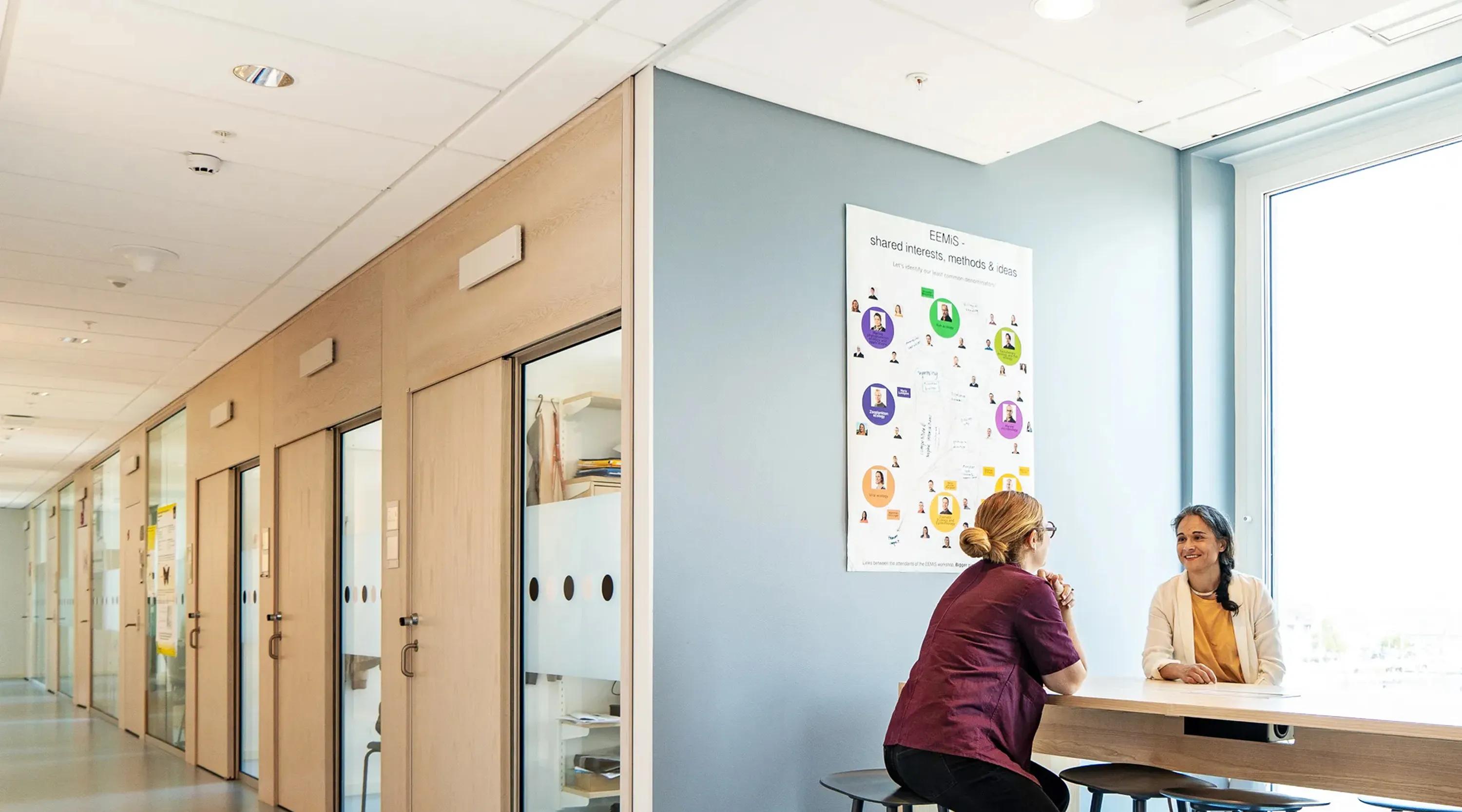 Corridors at Linnaeus University are supported by acoustic ceilings that enhance speech clarity, well-being, and energy-efficient design.