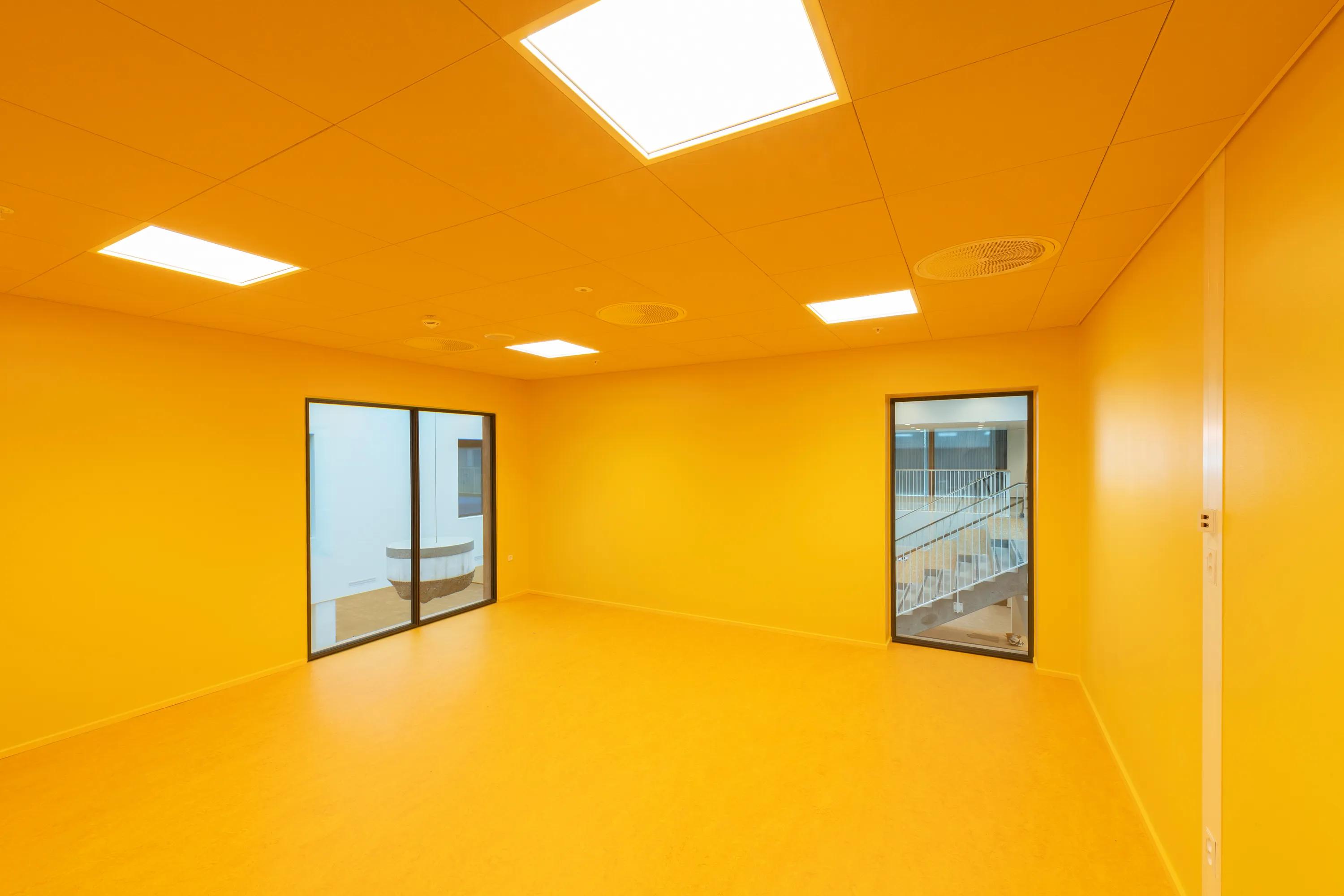 Rockfon® Color-all Special | Custom Acoustic Ceiling Tiles