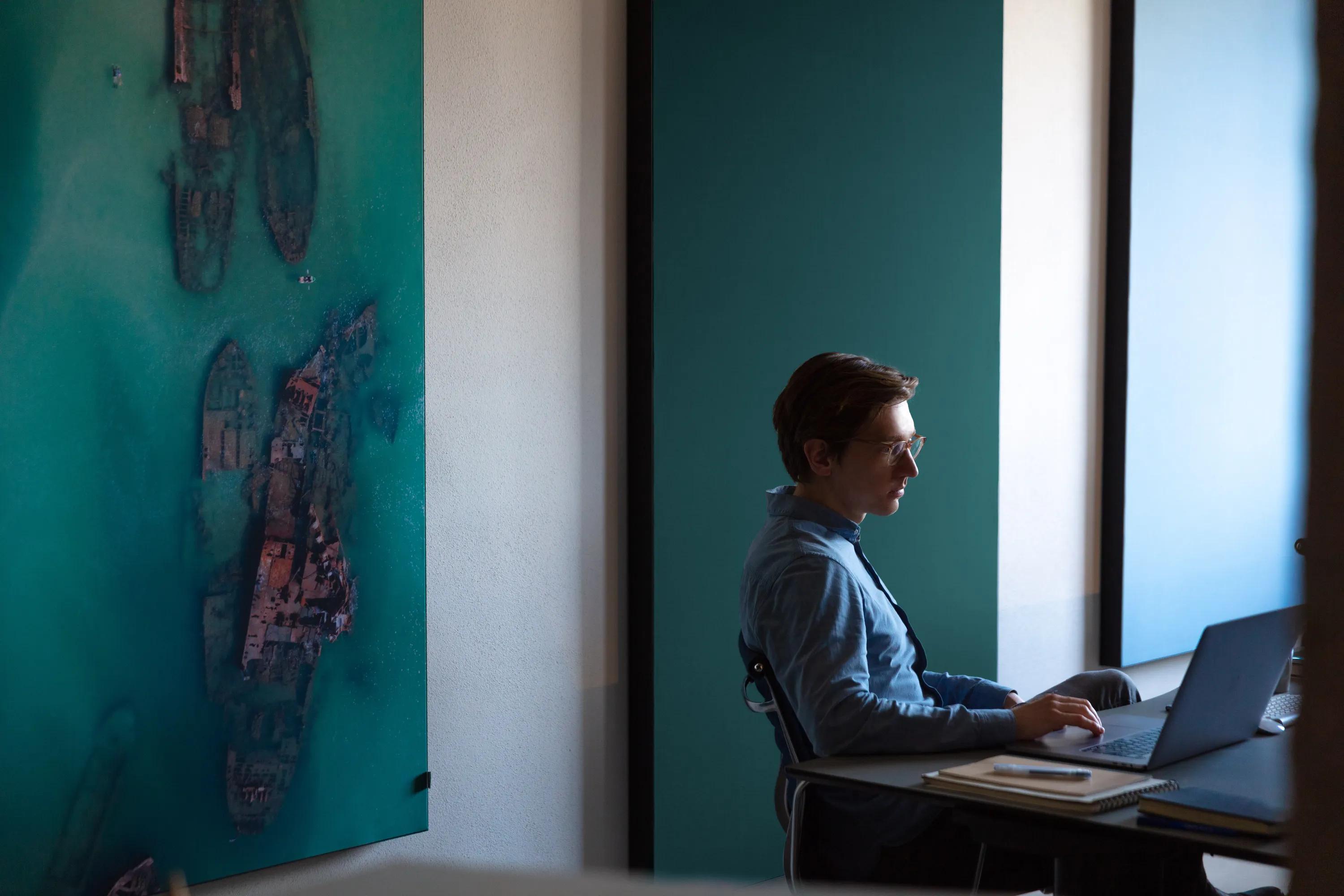 Person working at a laptop in front of large coloured acoustic wall panels, with a printed acoustic panel showing an aerial view of shipwrecks on the left.