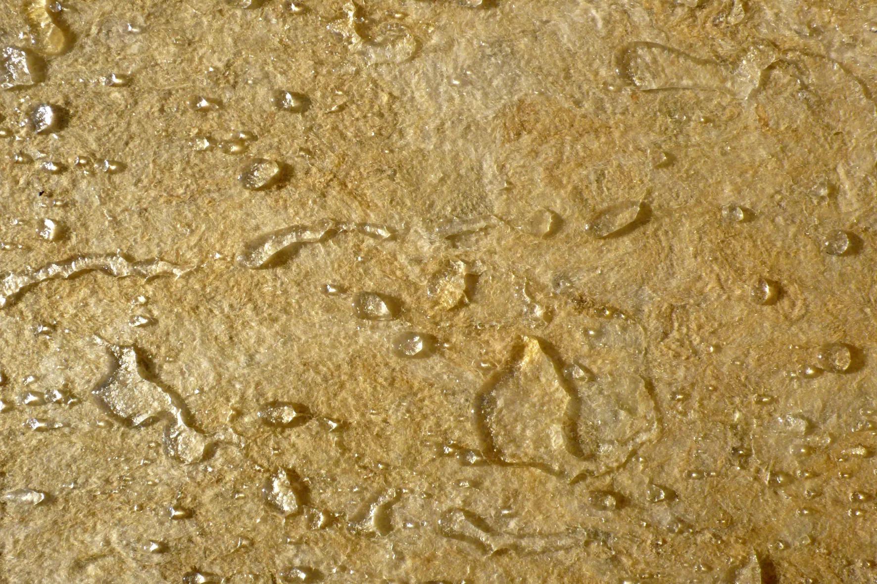 Rockfon stone wool acoustic solutions supporting hygiene and moisture resistance.
