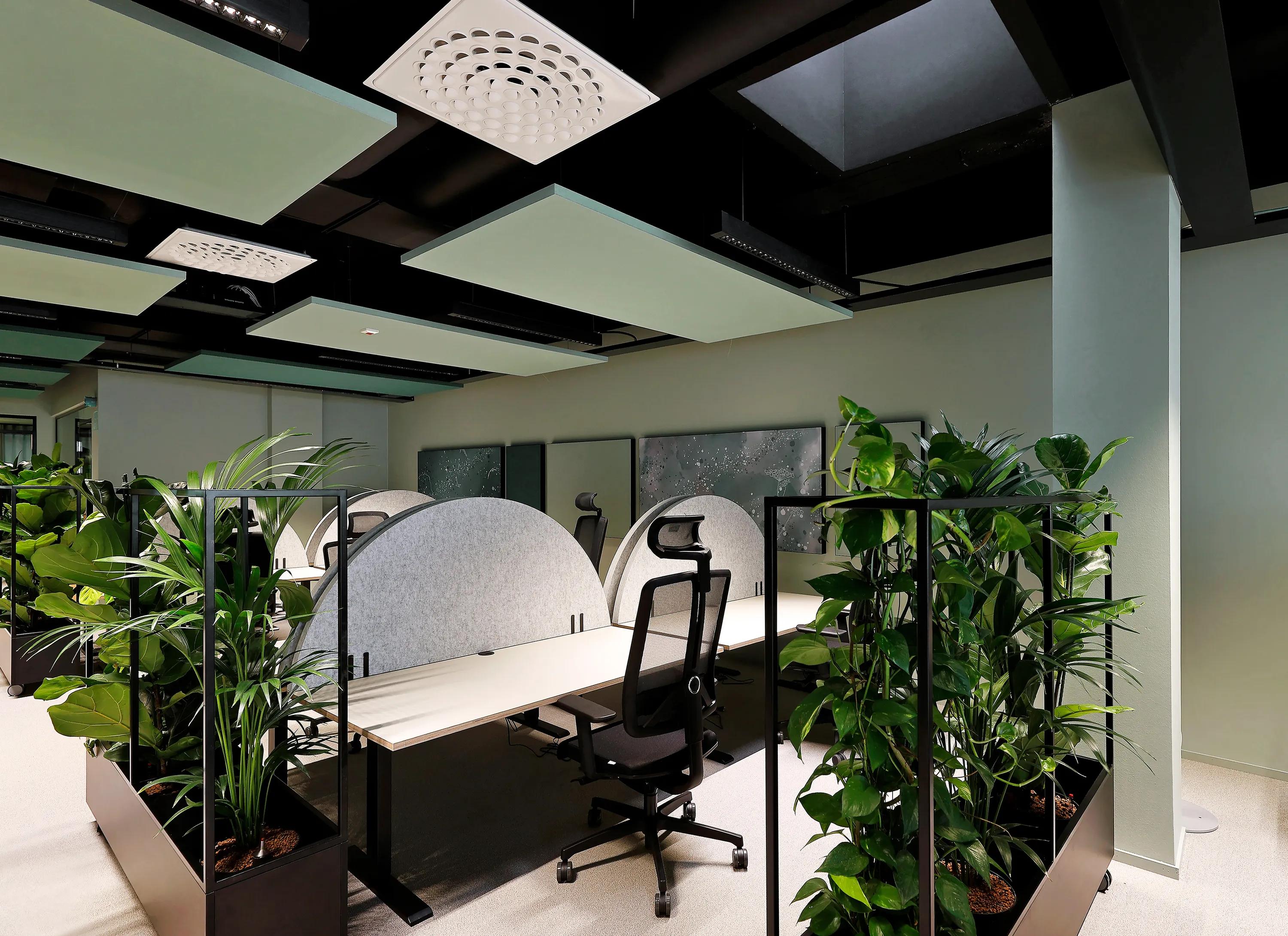 Modern office space with a desk, ergonomic chair, and dividers. Surrounded by green plants with an office ceiling composed of green floating acoustic ceiling panels.