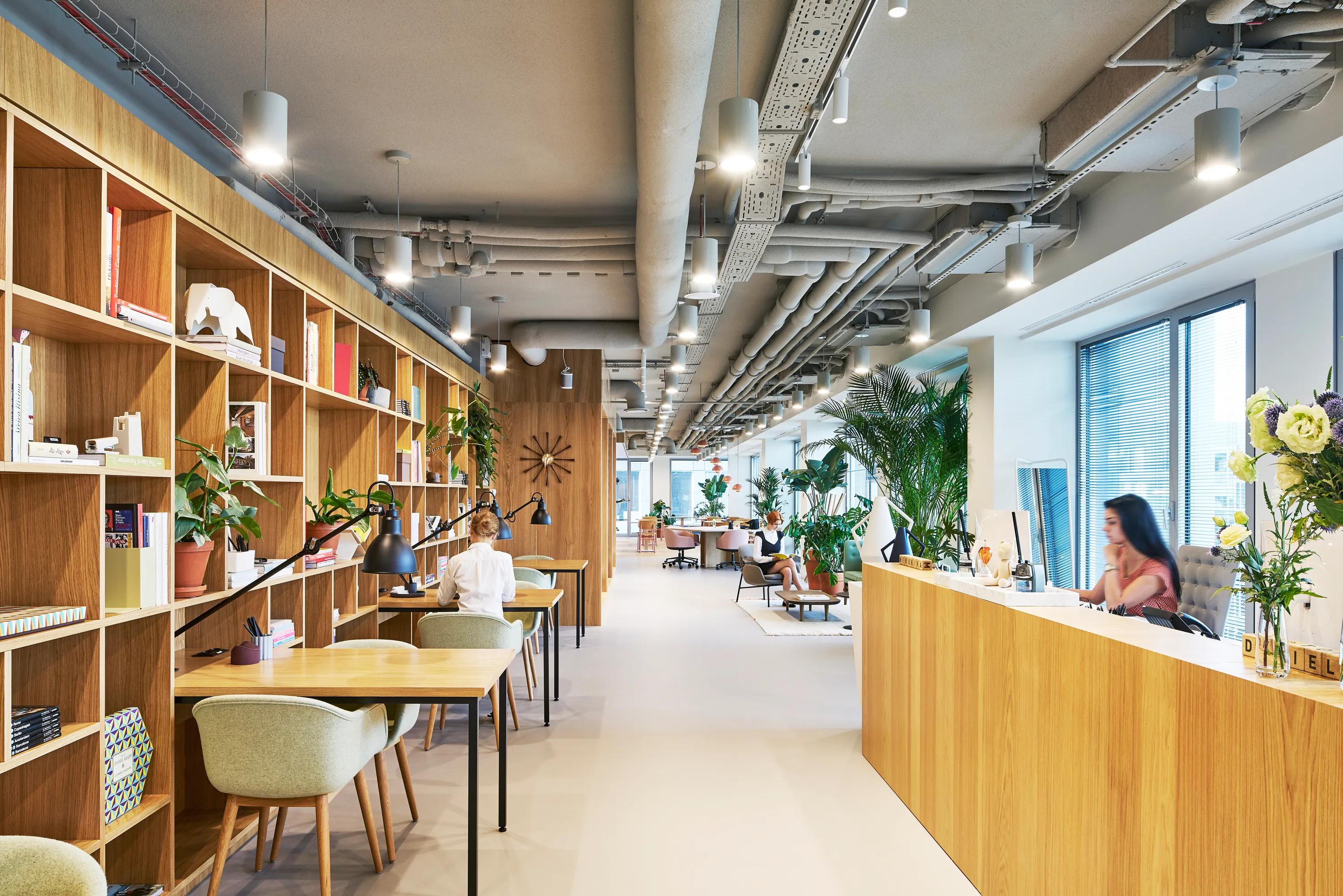 Open office reception featuring a seamless coloured monolithic acoustic ceiling, timber shelving, warm wood finishes, and greenery throughout the workspace