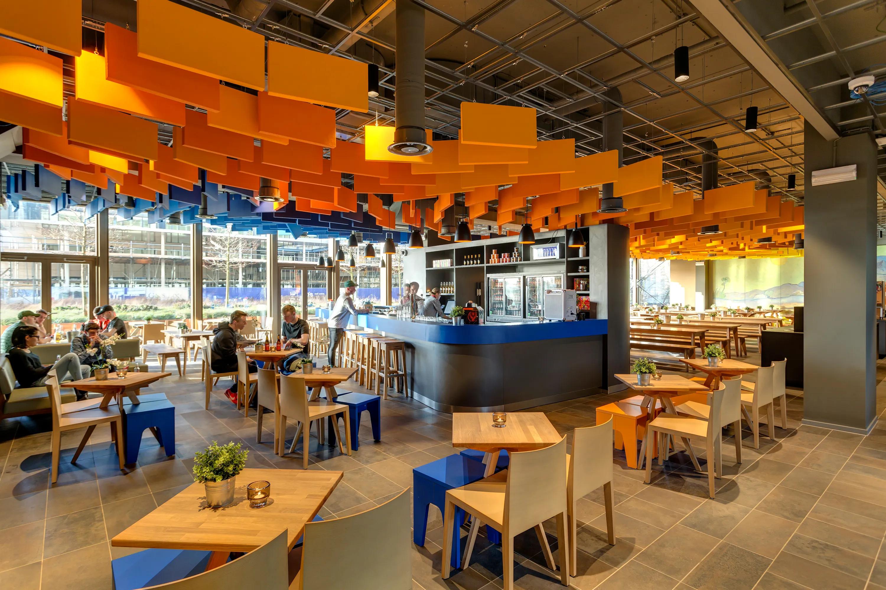 Acoustic Ceiling Baffles | Rockfon