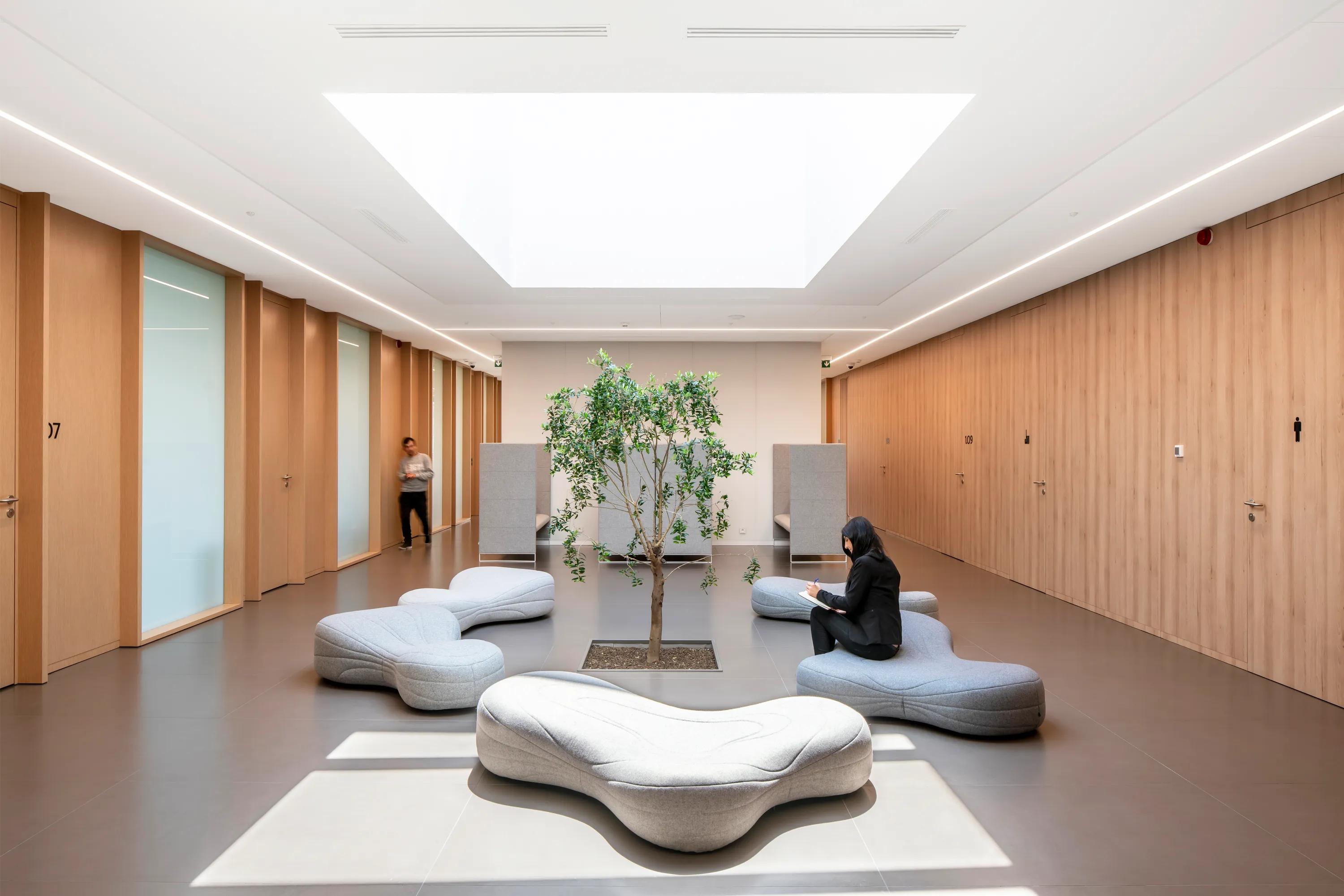 Minimalist interior with modern seamless white office ceiling, skylight, central tree, and curvy seating. Two people are in the space with light wood paneling and glass doors.