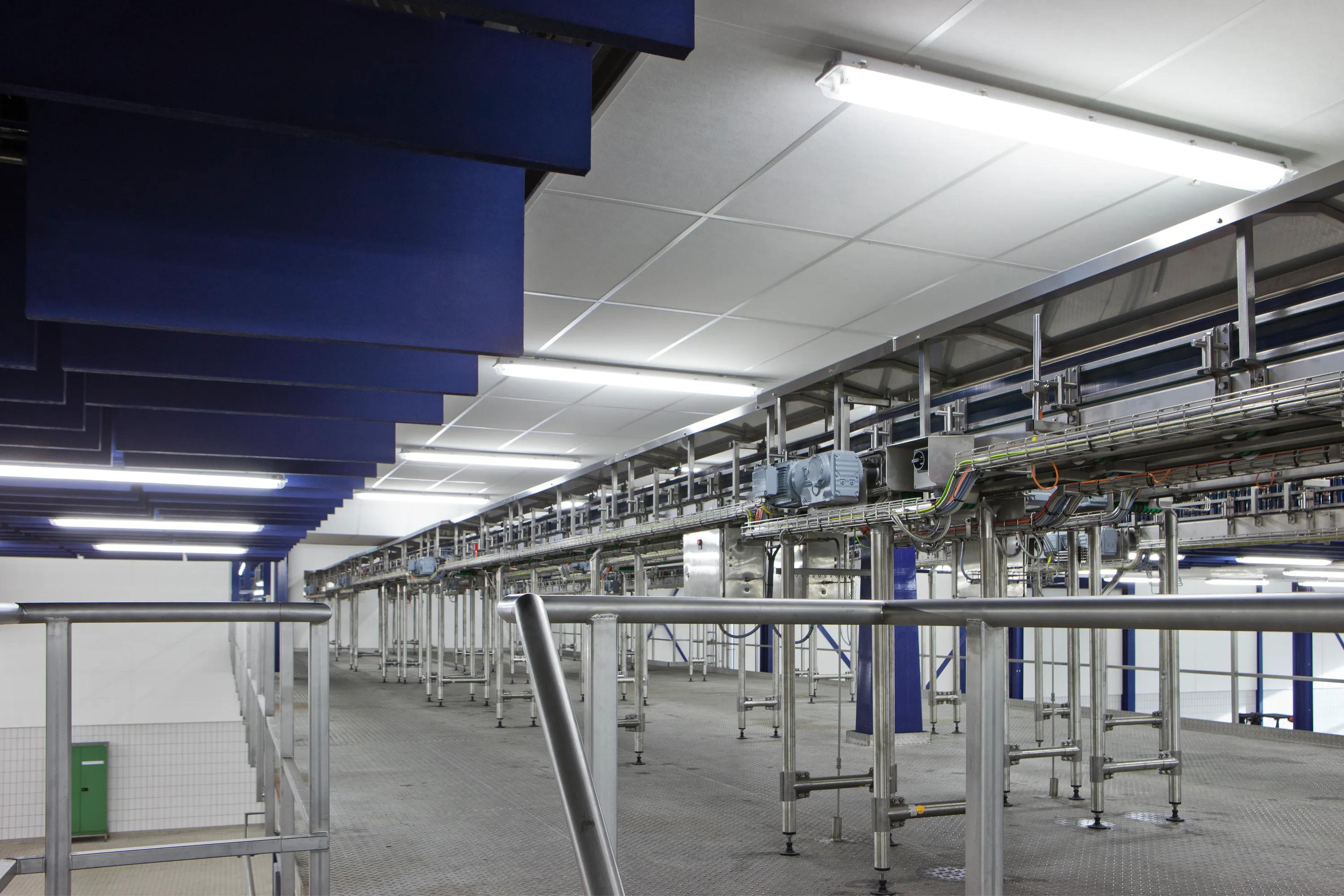 An industrial processing hall with a suspended white acoustic ceiling grid and rows of bright linear lights above stainless-steel conveyor machinery. Deep blue vertical acoustic baffles hang along one side to control noise in the large metal-clad space.