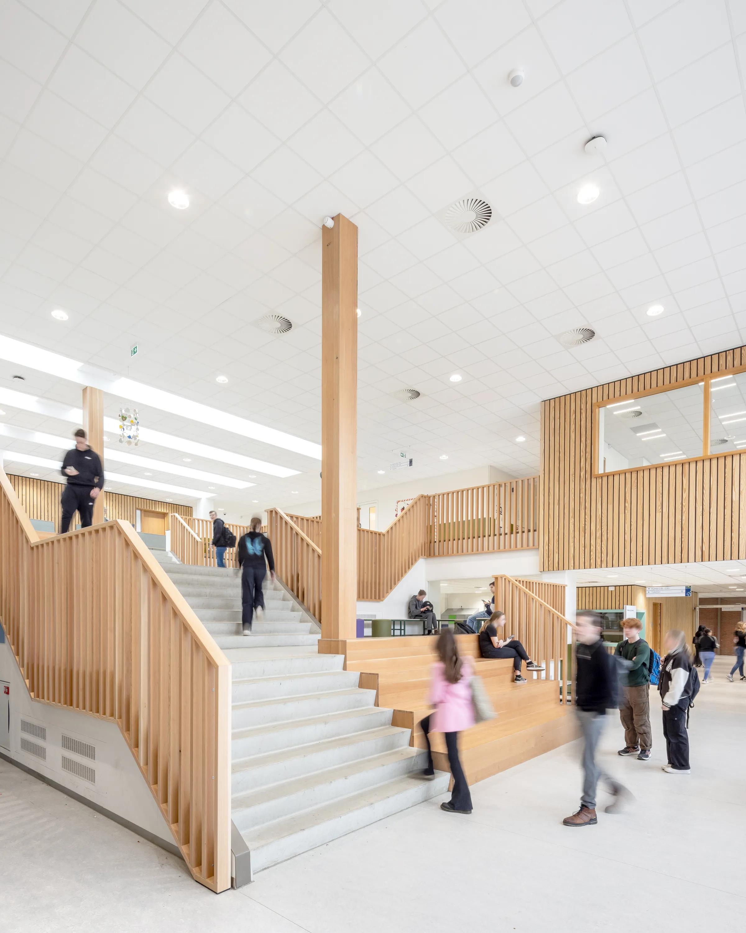 Classroom Acoustics | Rockfon