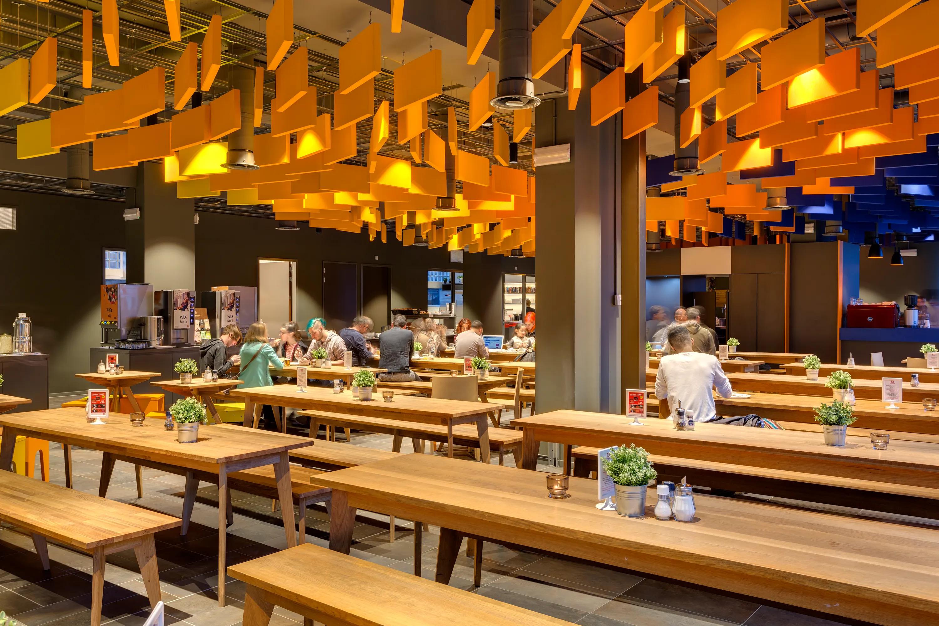 Rockfon acoustic baffles can be arranged in rows using grids or installed individually with hooks or wires.
