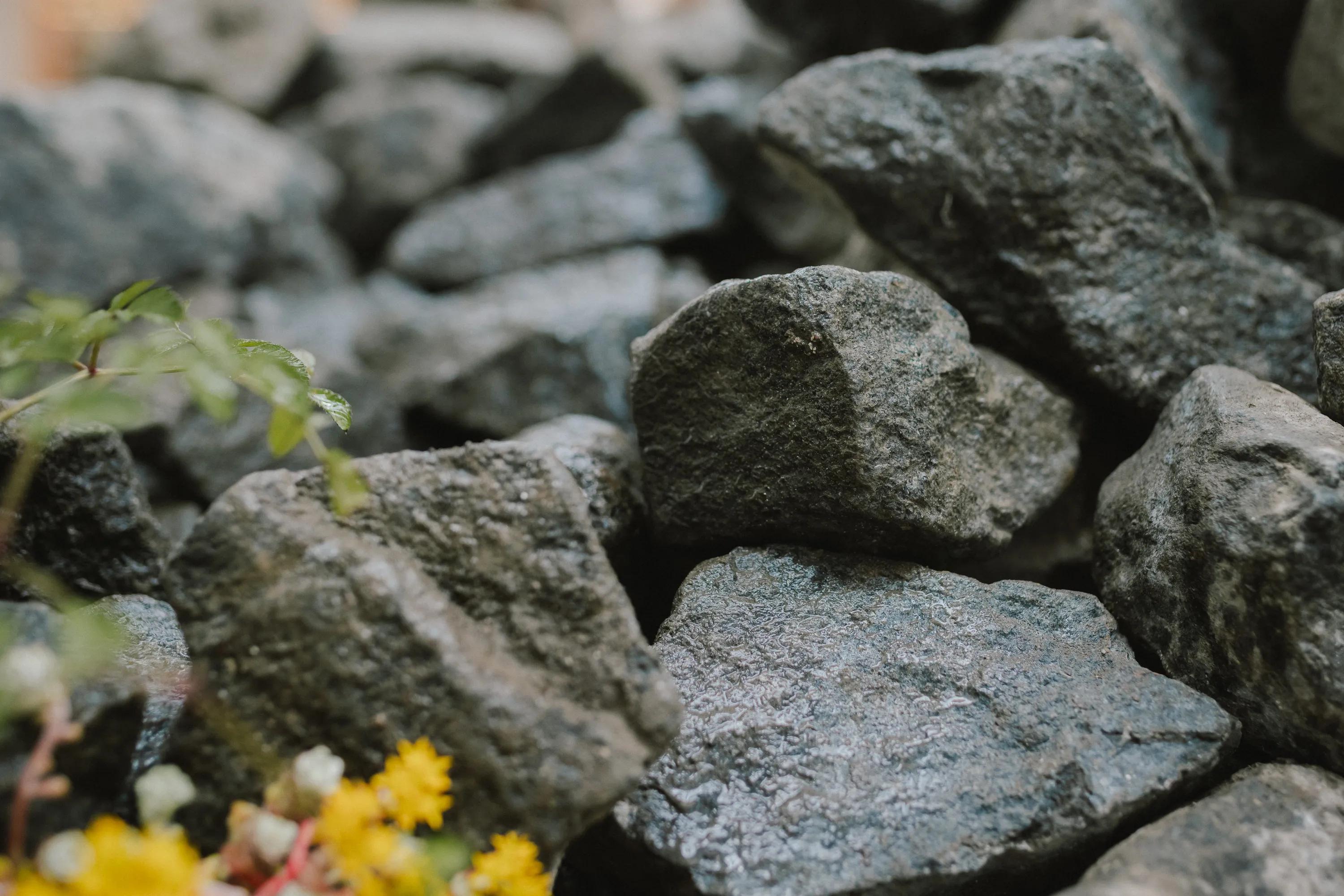 The Sustainability of Stone Wool | Rockfon