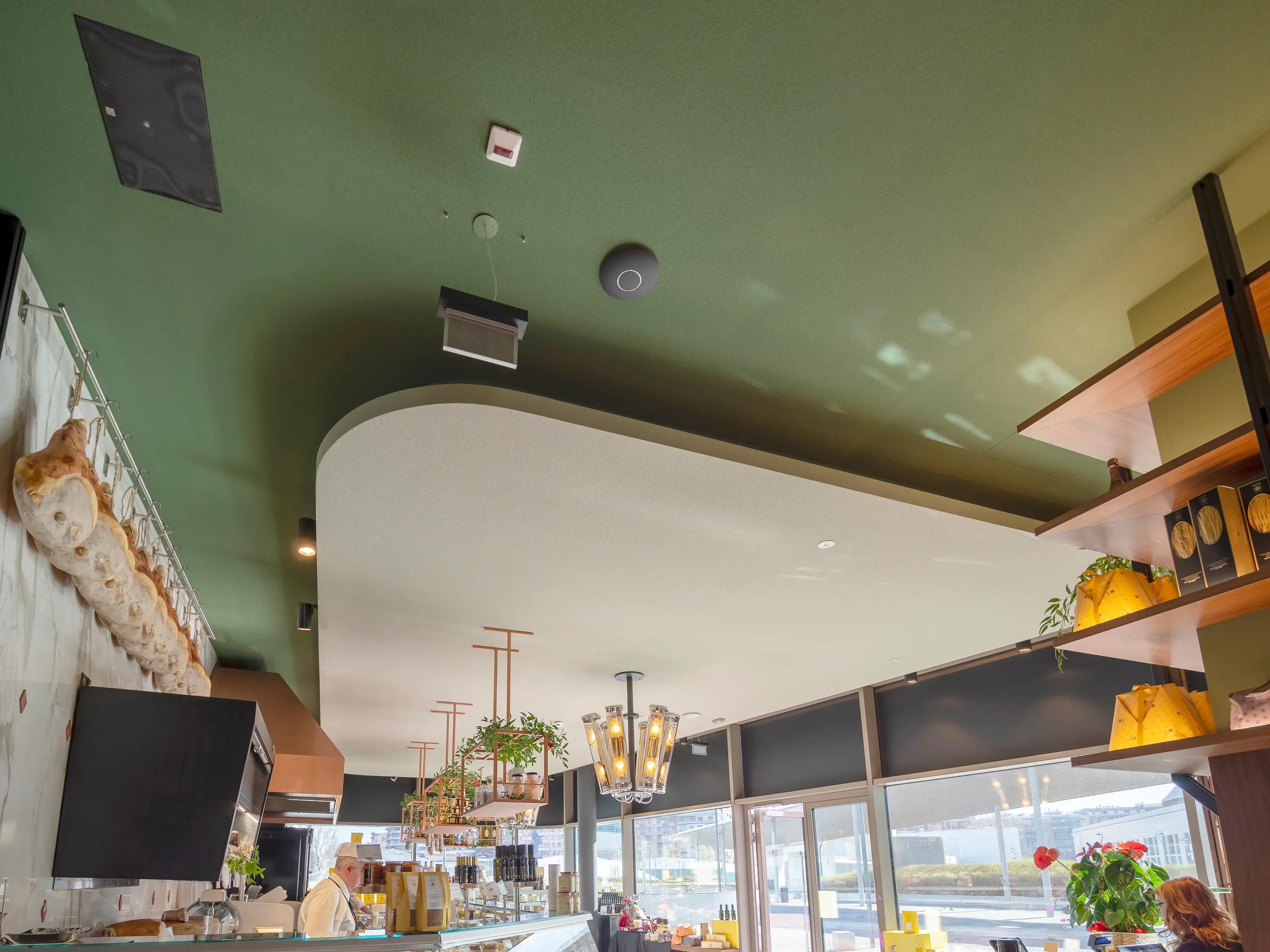 Modern café interior with green ceiling, hanging lights, large windows, and shelves displaying plants and various items.