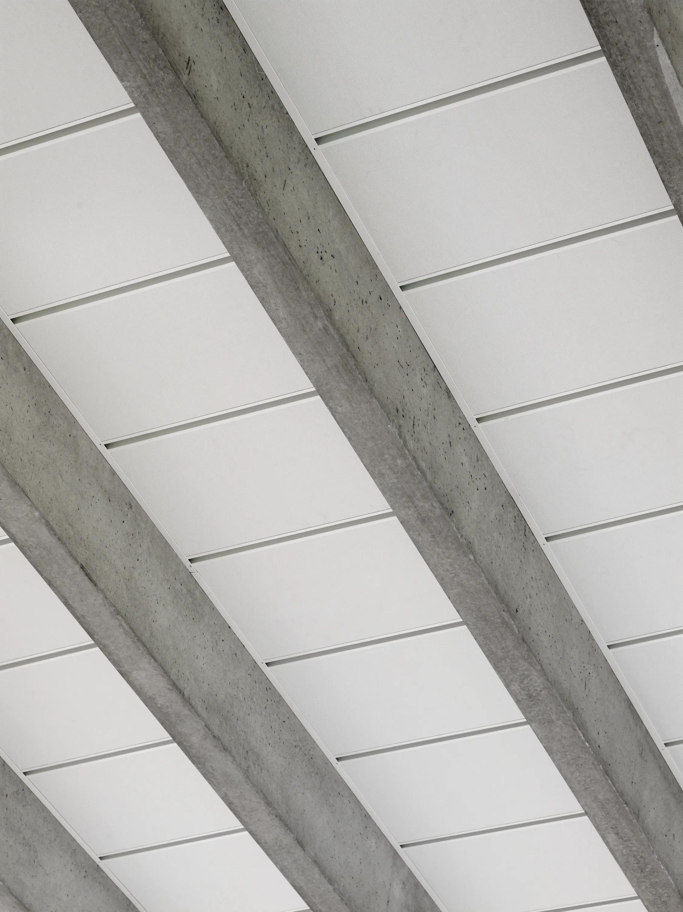 Rockfon® Samson | Impact Resistant Acoustic Ceiling Tiles
