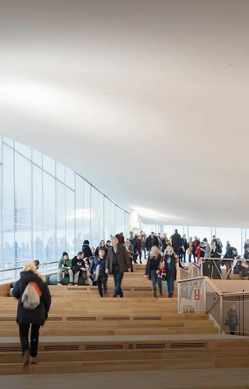 Rockfon: Leading Acoustic Solutions & Suspended Ceiling Systems