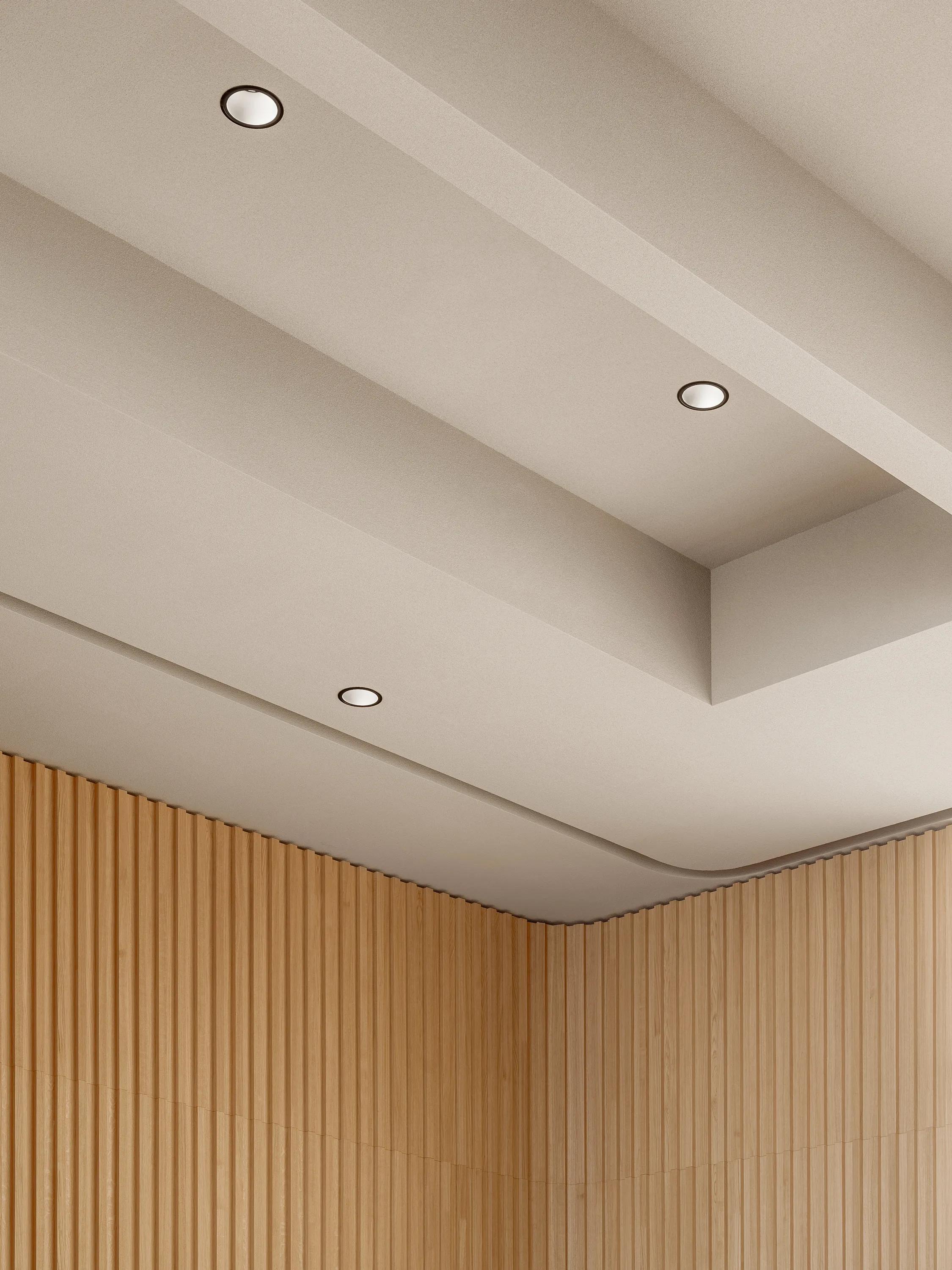 A bright lecture hall with seamless monolithic acoustic ceiling installed following original beams with timber wall panels
