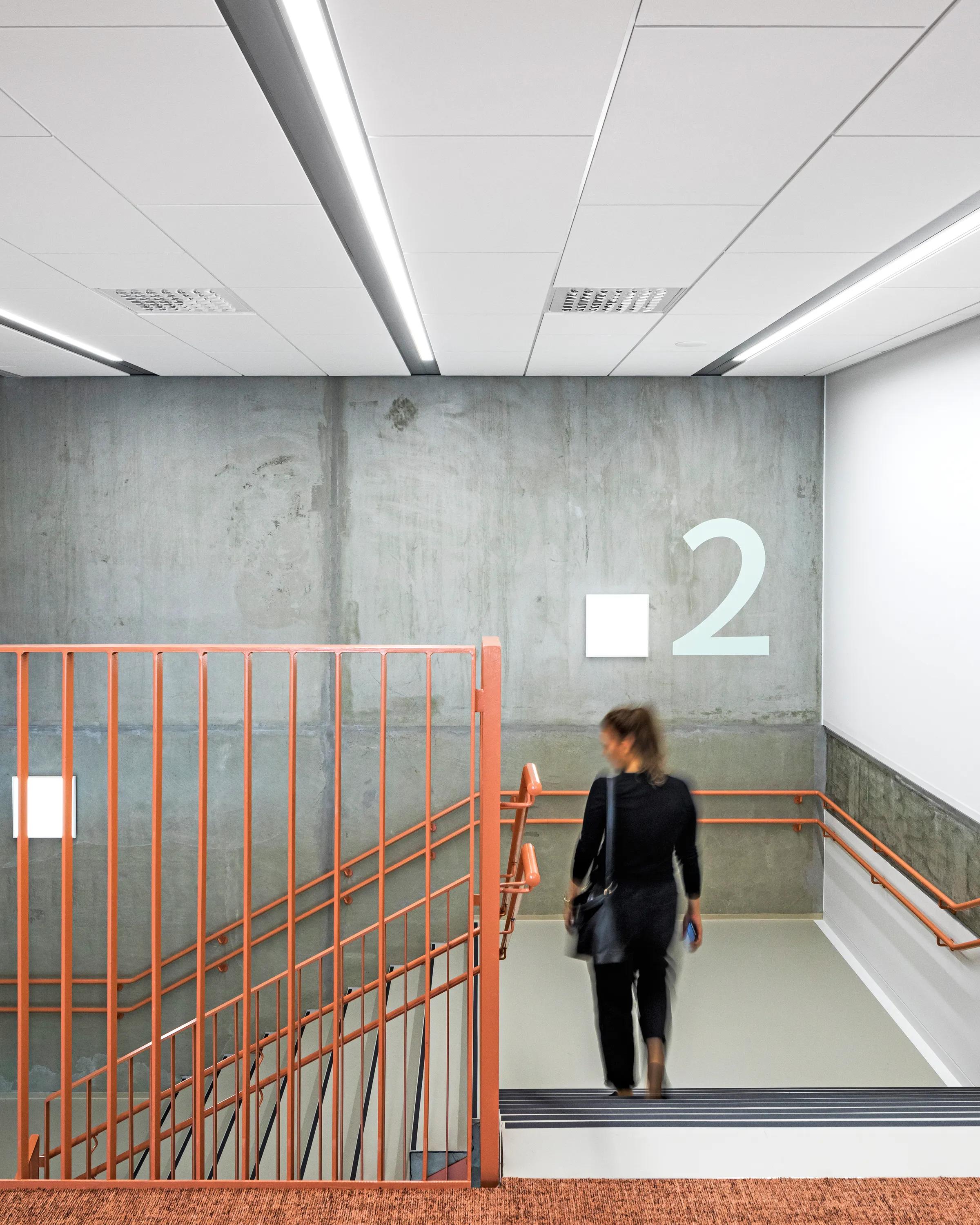 Classroom Acoustics | Rockfon