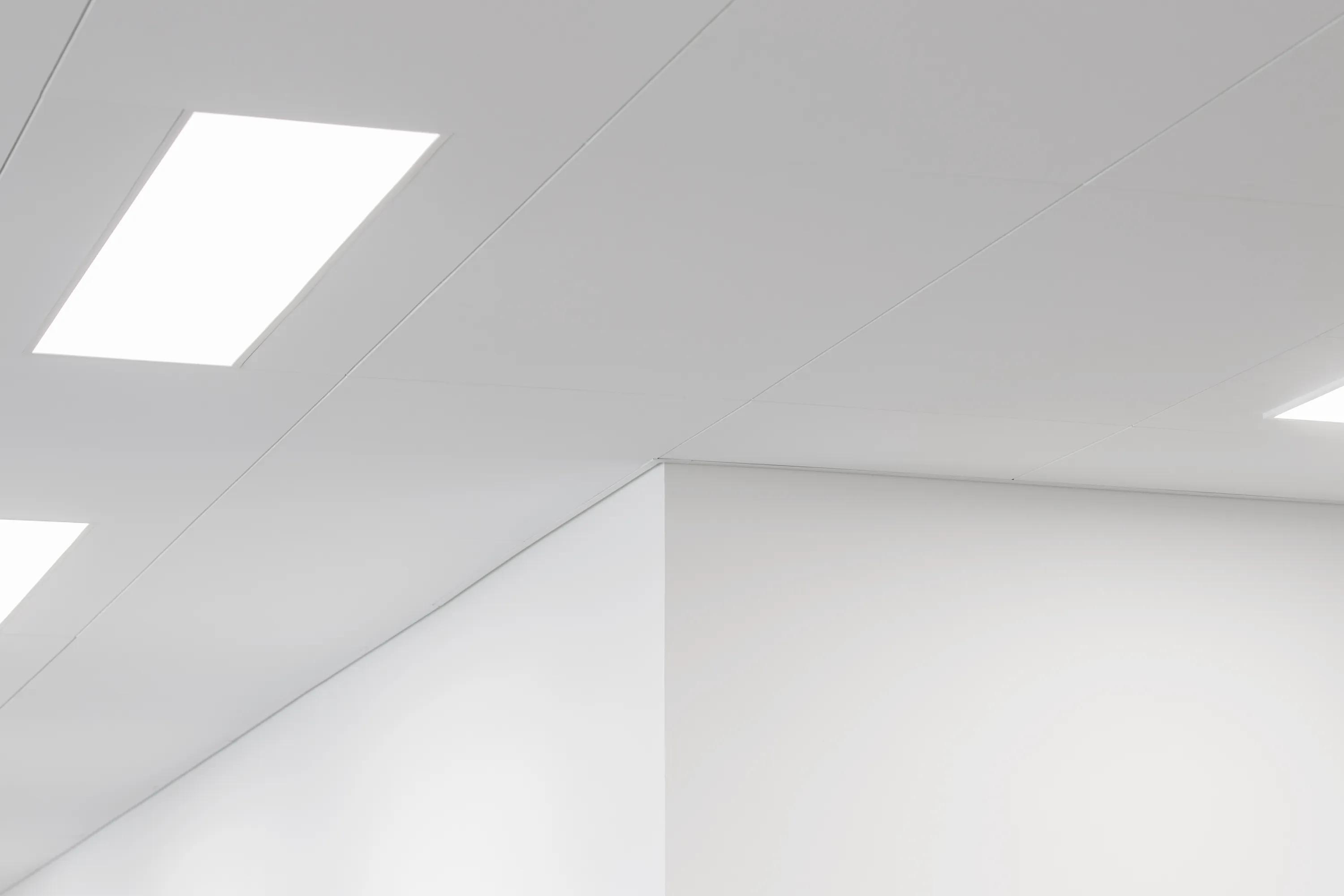 Seamless & Monolithic Acoustic Ceilings | Rockfon