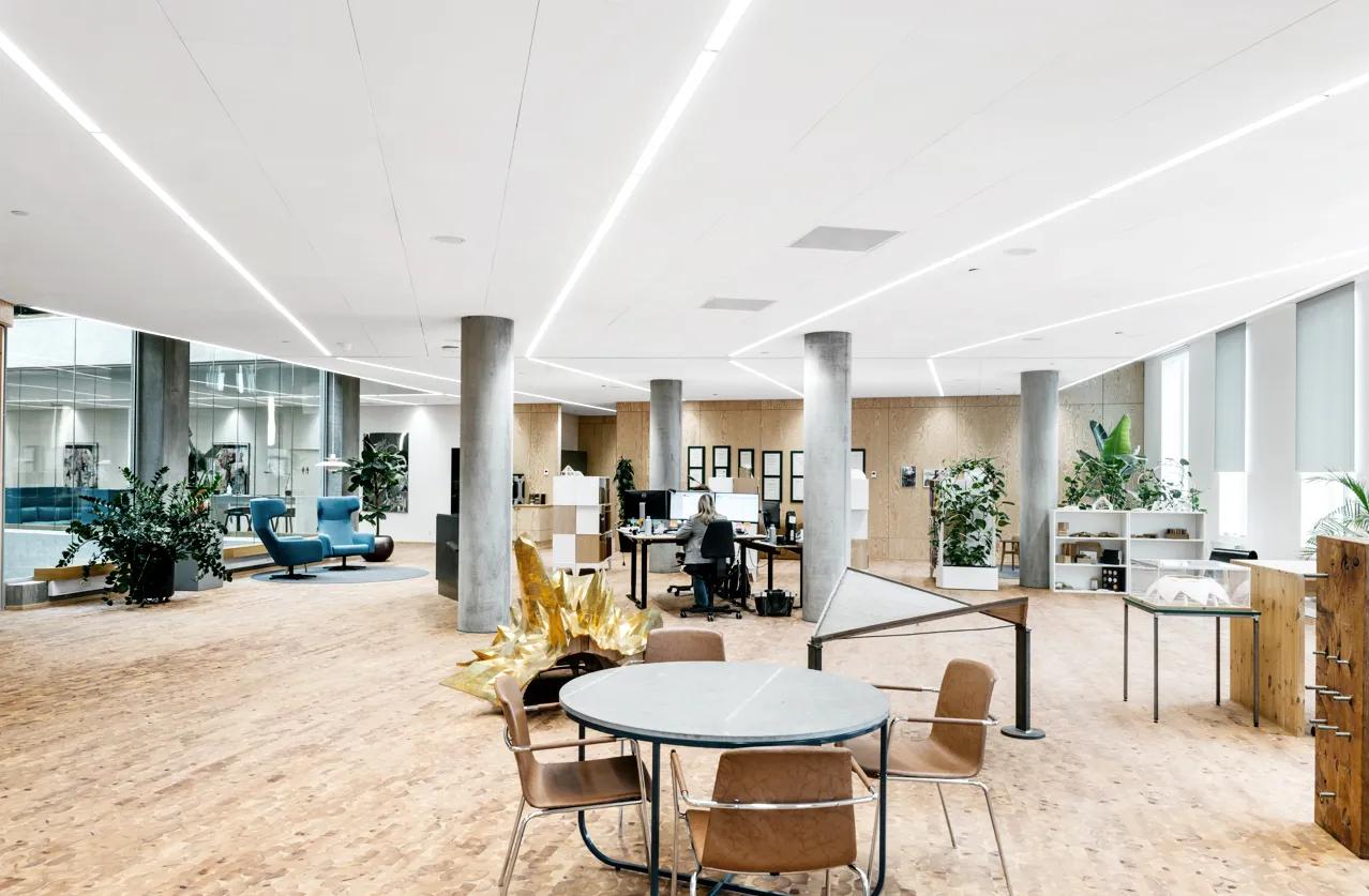 Rockfon Tropic A15-Edge fire-rated ceiling tiles.