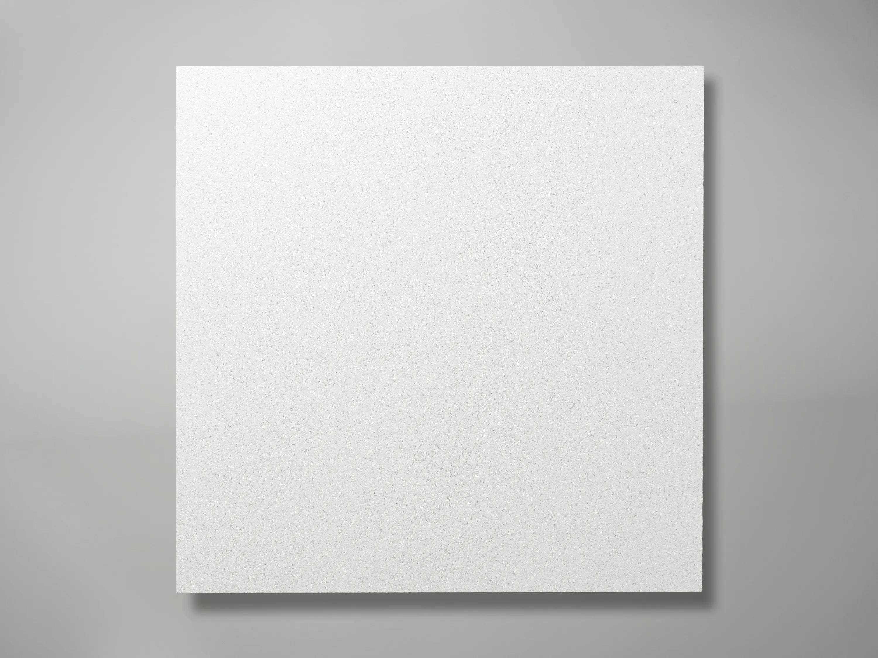 Rockfon CleanSpace® Essential | Cleanroom Acoustic Ceiling Tiles