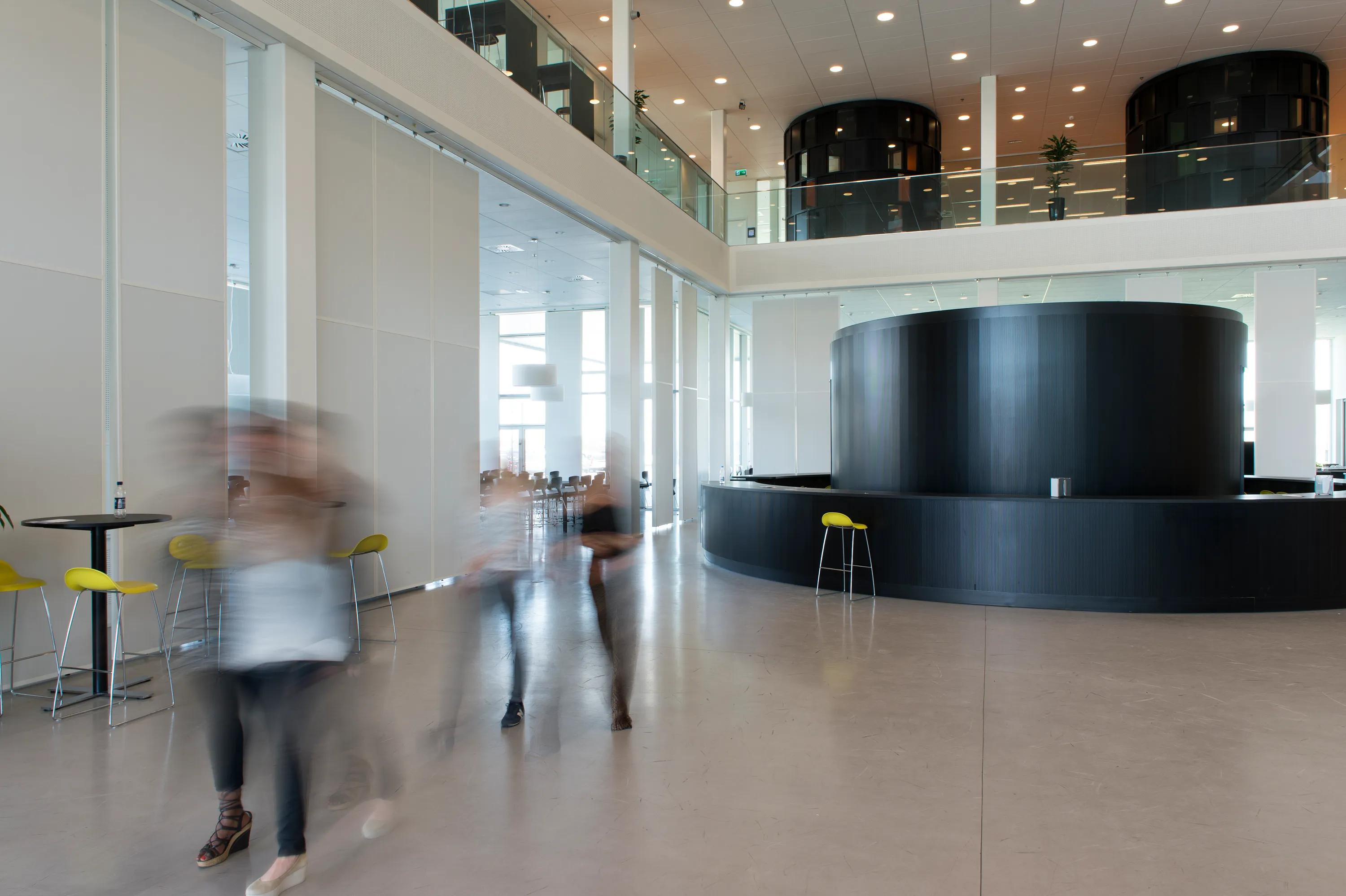 Acoustic Solutions for Gymnasiums | Rockfon
