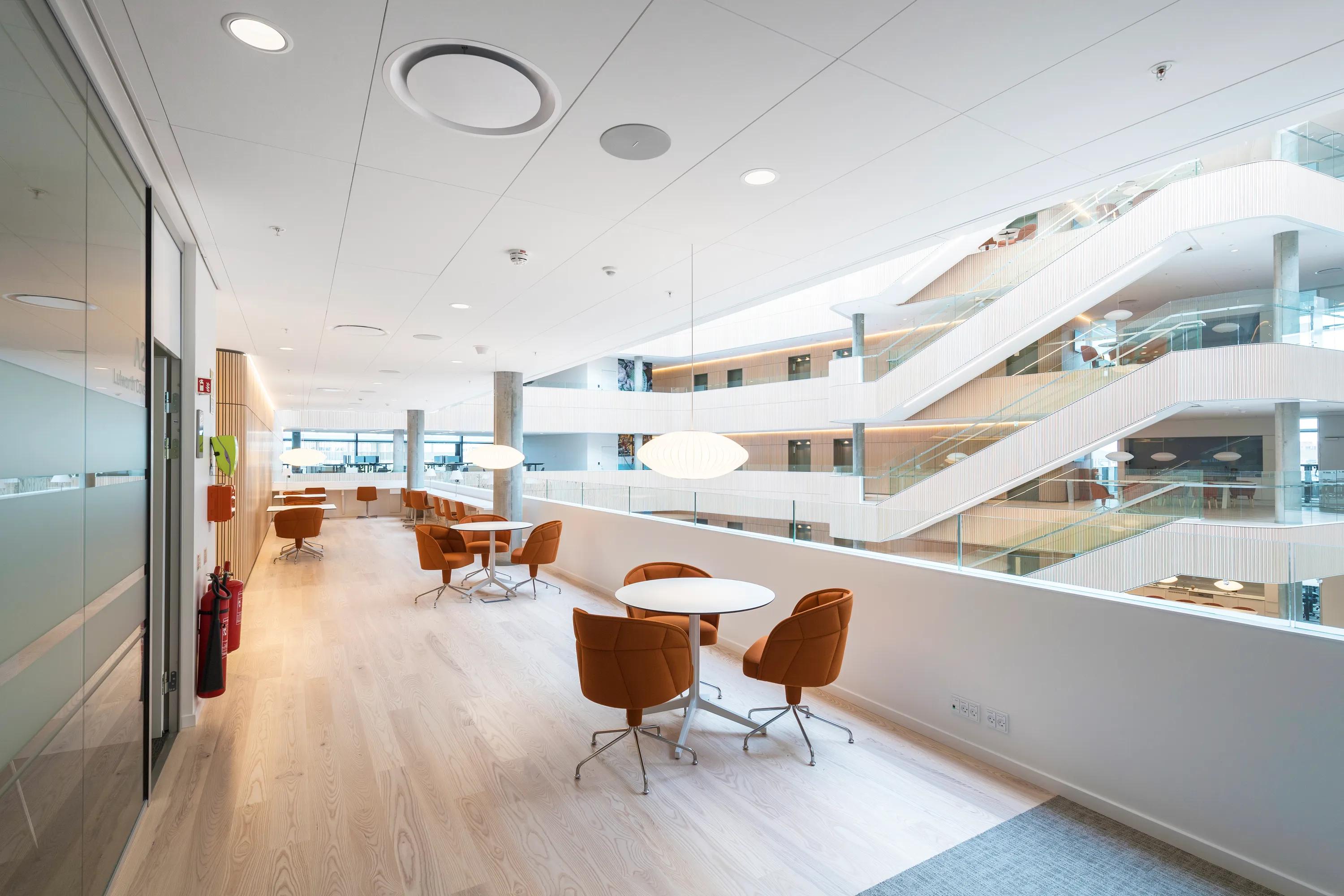 Rockfon Blanka® | Ultra-White Ultra-Matte Acoustic Ceiling Tiles