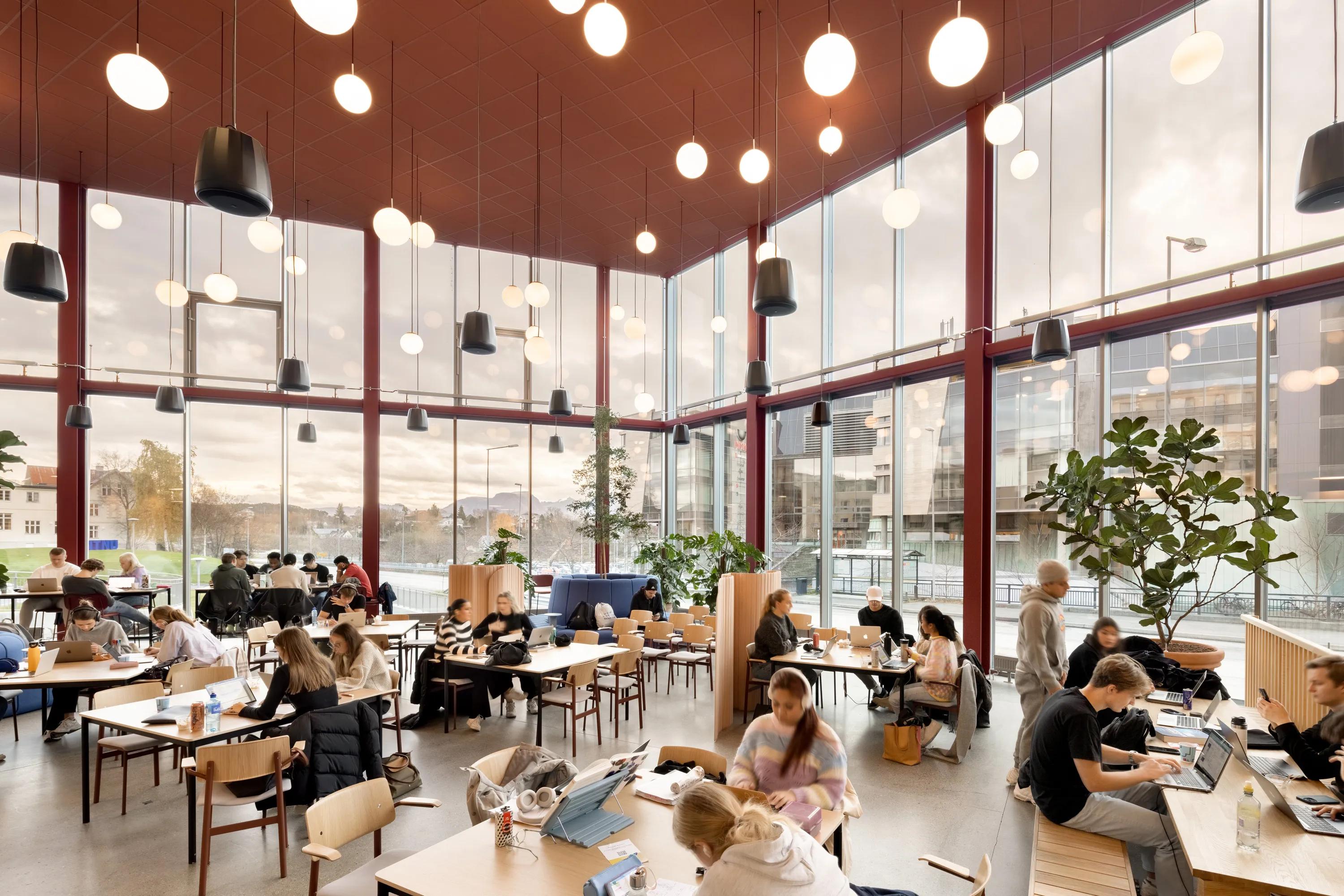 Ein geräumiger Lesesaal im Café-Stil mit tiefroten Akustikdeckenplatten, großen raumhohen Fenstern, vielfältigen Pendelleuchten, Zimmerpflanzen und Studierenden, die an Gemeinschaftstischen arbeiten.