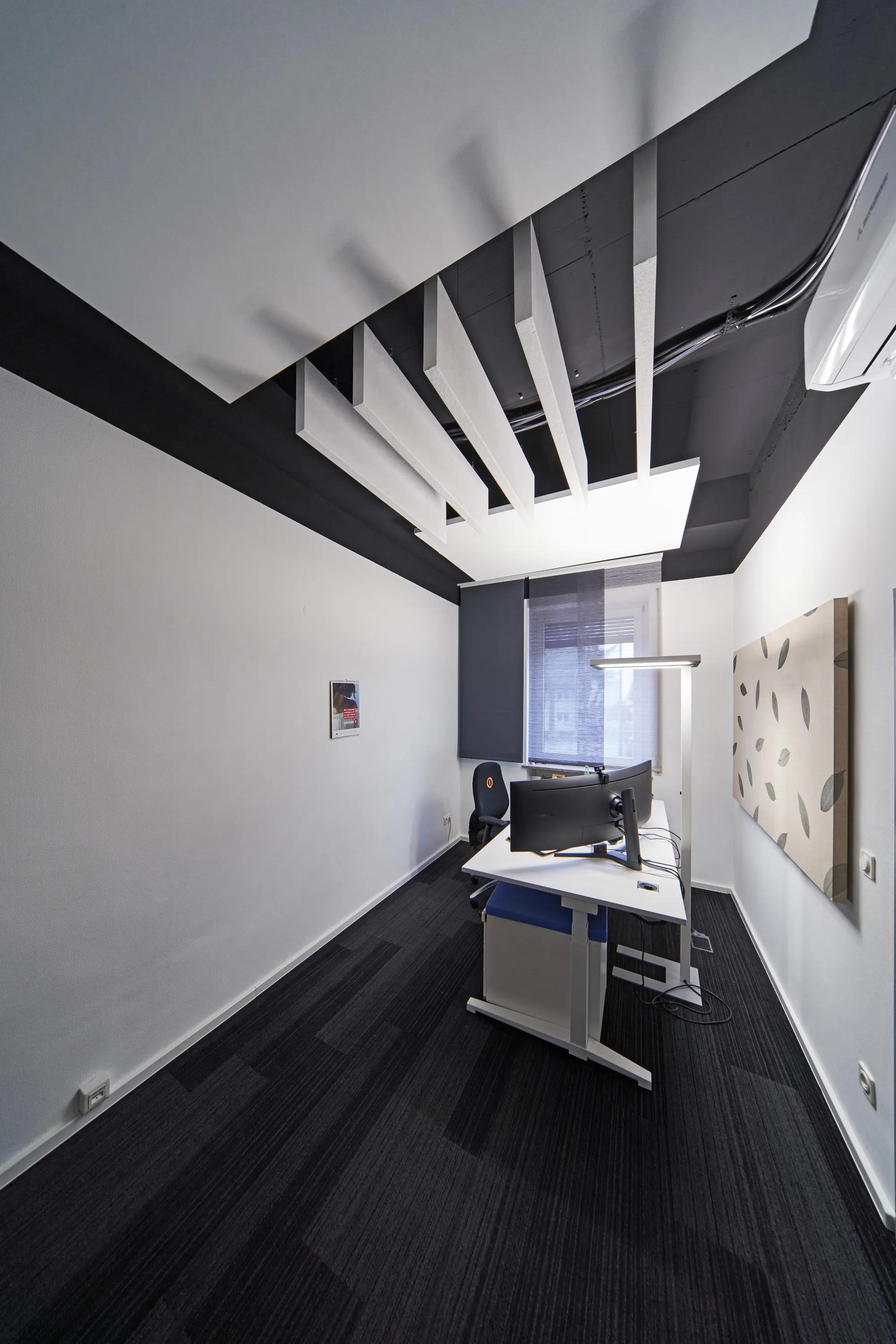Compact workspace featuring vertical white acoustic baffles installed across a black acoustic ceiling tiles and acoustic wall panels featuring natural leavesto improve sound absorption.